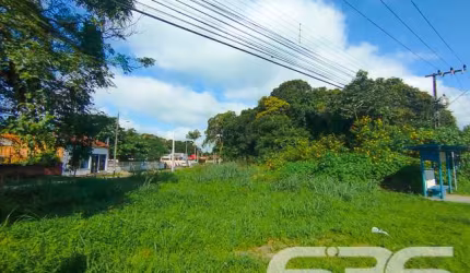 Terreno | São Francisco do Sul | Iperoba