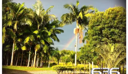 Chacará | Joinville | Pirabeiraba Rio Bonito