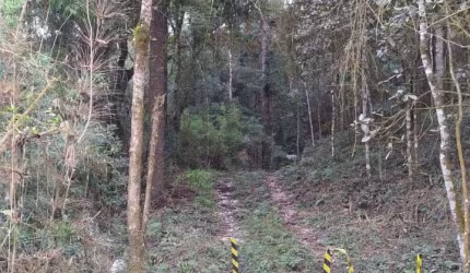 Chácara a Venda