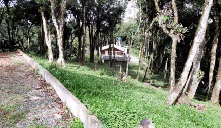 Linda chácara e São José dos Pinhais