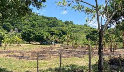 COD-714 SÍTIO – ESTRADA DO TINGUI