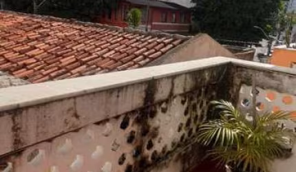 Apartamento para Venda em Salvador, Graça, 2 dormitórios, 2 banheiros