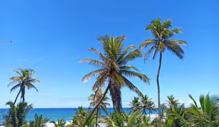 Apartamento 2/04 à venda em Salvador, Praia do Flamengo, com vista para o mar e área de lazer completa