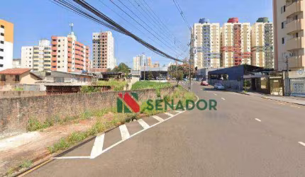 Terreno para alugar, 750 m² por R$ 3.500/mês - Centro - Londrina/PR