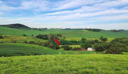 Fazenda à venda, 171 Alq-SP por R$ 43.000.000 - Jataizinho - Jataizinho/PR