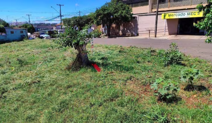 Terreno à venda, 318 m² por R$ 240.000,00 - Residencial Vila Romana - Londrina/PR