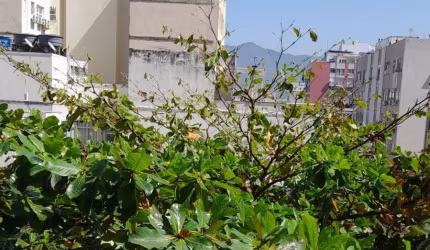 Apartamento reformado em Ipanema