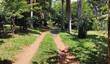 Chácara à Venda, Pinhal, Cabreúva, Sp