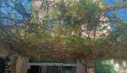 Salão comercial com 7 salas à venda, 260m² Campos Verdes