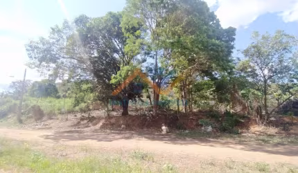 Terreno Loteamento em Vale Verde  -  Ipaba