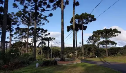 Terreno em condomínio de Alto Padrão