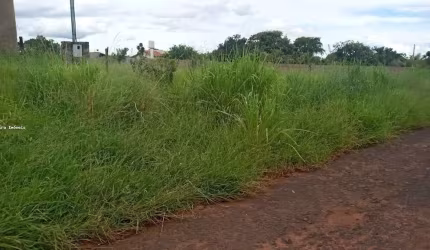 Terreno à venda, 5000 m² por R$ 500.000,00 - Chácaras Mariitas - Uberaba/MG