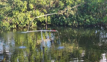 CHÁCARA À VENDA NA MG190 SENTIDO SANTA FÉ