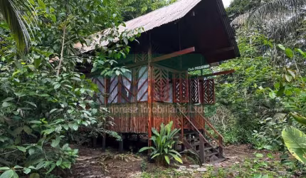 Ponto comercial à venda no Tarumã, Manaus , 7200 m2 por R$ 800.000