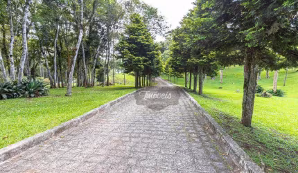 Chácara com 4 dormitórios à venda, 13316 m² por R$ 1.640.000,00 - Borda do Campo - Piraquara/PR