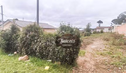 Terreno à venda, 675 m² por R$ 199.000,00 - Borda Do Campo - São José dos Pinhais/PR