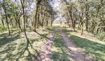 Chácara à venda, 33000 m² por R$ 680.000,00 - Zona Rural - São José dos Pinhais/PR