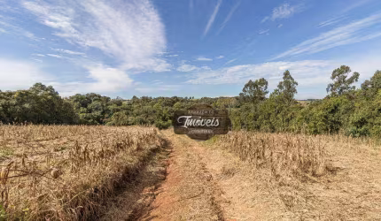 Chácara com 48 mil m², a 600metros da Igreja, Colonia Balbino, Balsa Nova/PR