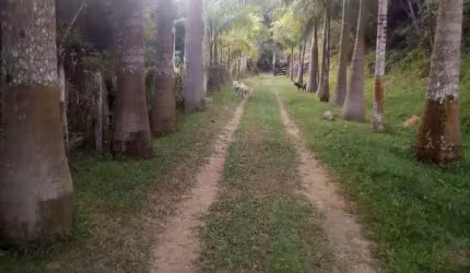 Sítio em Zona Rural  -  Registro SP