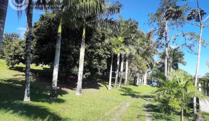Sítio em Zona Rural  -  Iguape SP
