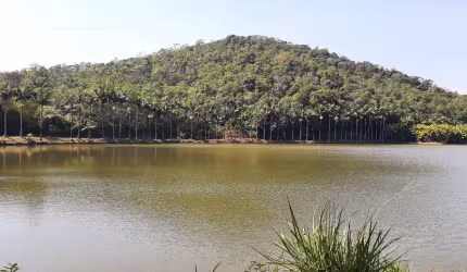 Fazenda à venda em Zona Rural - Juquiá com 125m², ideal para investimento.