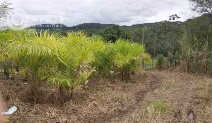 Sítio em Zona Rural  -  Registro