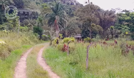 Sítio em Registro SP no Bairro São Domingos