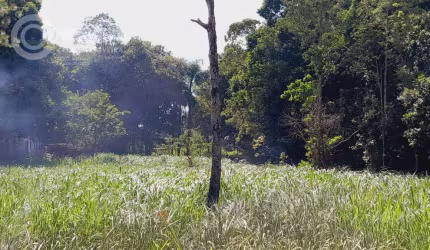 Terreno em Iguape SP Ivo Zanella  -  Iguape