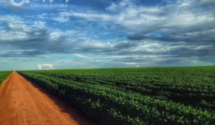 Fazenda em zona rural  -  Sinop MT