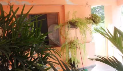Sobrado com 3 quartos à venda em Vila Sônia - SP
