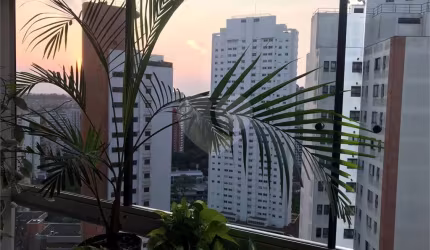 Apartamento com 3 quartos à venda em Vila Andrade - SP
