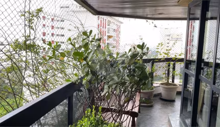 Apartamento com 3 quartos à venda em Vila Suzana - SP