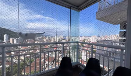 Apartamento com 3 quartos à venda em Marapé - SP