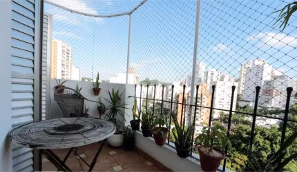 Apartamento com 3 quartos à venda em Vila Morumbi - SP