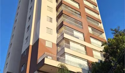 Apartamento com 3 quartos à venda em Vila Guilherme - SP