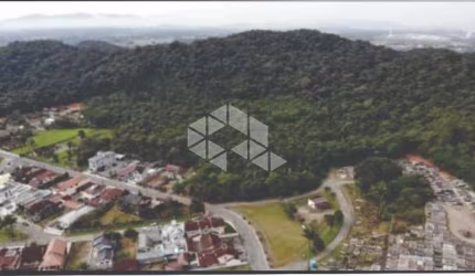 Terreno em Pirabeiraba  com 101 mil metros quadrados com projeto de viabilidade para uso e ocupação do so, ótima localização, acesso direto a BR - 101