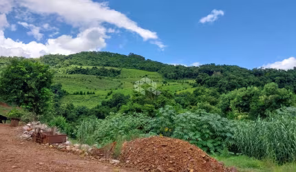 Excelente Área de terra parreirais produzindo.