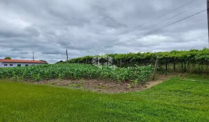 Área de terra de 10.4 ha em Tuiuty