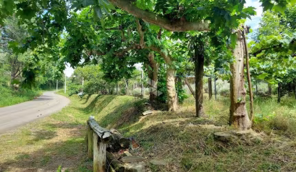 Área Rural em Monte Belo do Sul