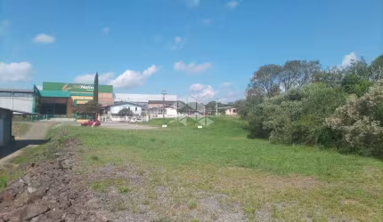 Amplo Terreno medindo 25x151 metros ideal para Projeto Industrial