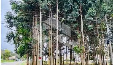 Terreno Plano