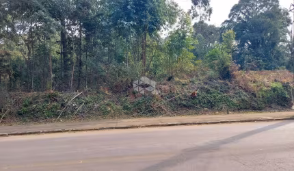 Terreno no bairro Tamandaré