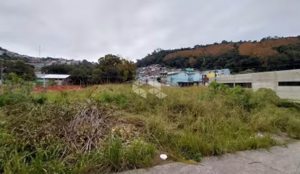 Terreno plano