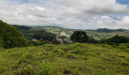 sítio de 7.8 Hectares na Linha Palmeiro São Pedro