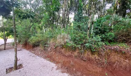 Terreno No Loteamento Reserva Grasselli