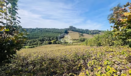 Chácara com parreirais na Serra Gaúcha, Linha Paulina.