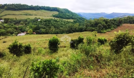 Chácara produtiva dos sonhos na Serra Gaúcha: viva em meio à natureza e prosperidade!