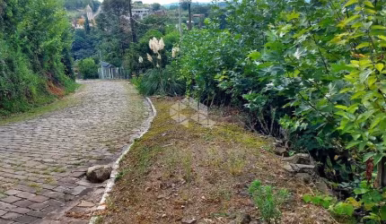 Linda terrra no Vale dos Vinhedos