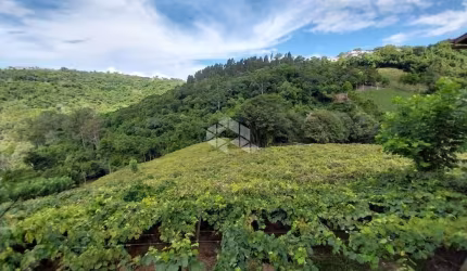 Área de terras na cidade