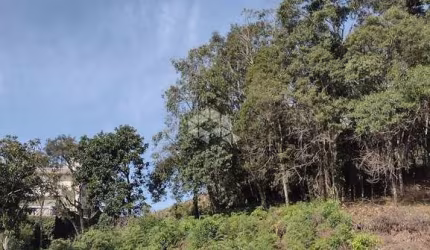 Terreno à venda na Rua Vereador Lucindo João Andreola, 118, Santo Antão, Bento Gonçalves, 591 m2 por R$ 430.000